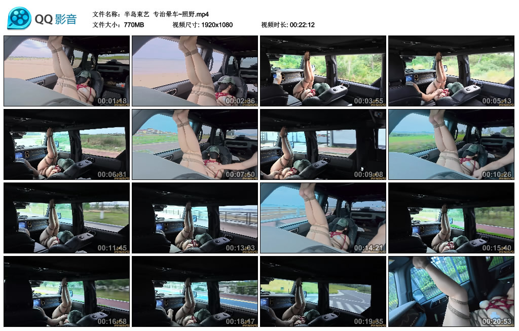 【半岛束艺】 专治晕车~照野-爱绳艺kb视频