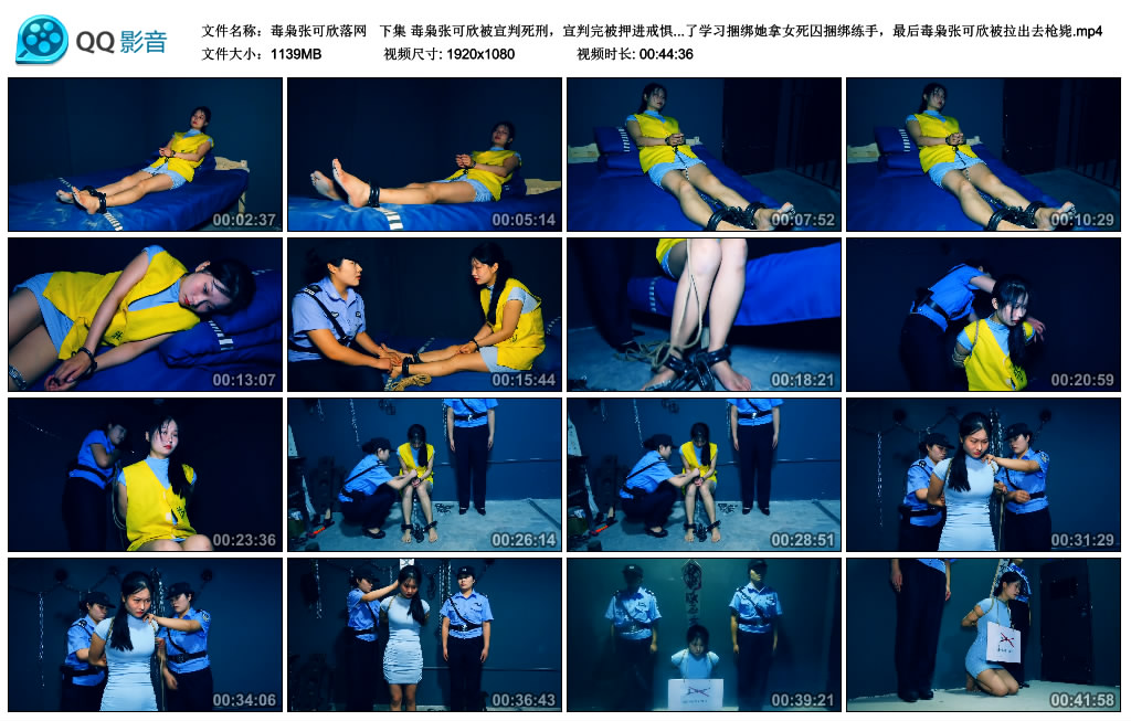 【胜景影视】 毒枭张可欣落网  下集-爱绳艺kb视频